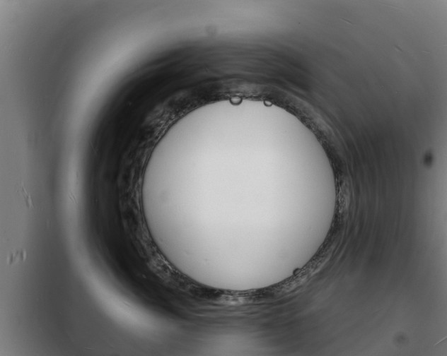 X0000102230764200807250809