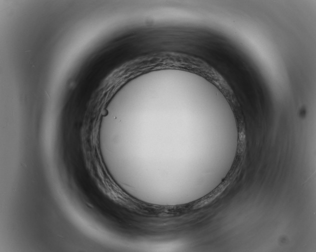 X0000102230765200807250809