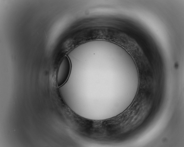 X0000102230766200807250809