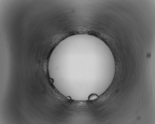 X0000102230768200807250809