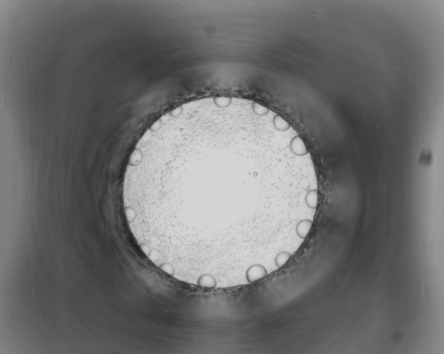 X0000102230769200807250808