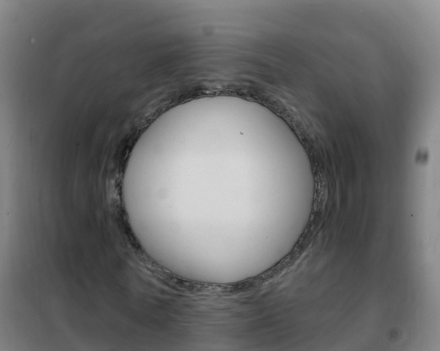 X0000102230770200807250808