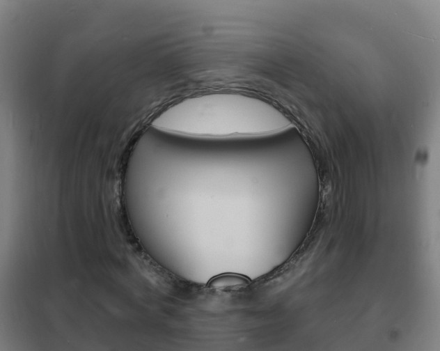 X0000102230772200807250808