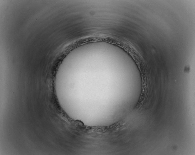 X0000102230773200807250808