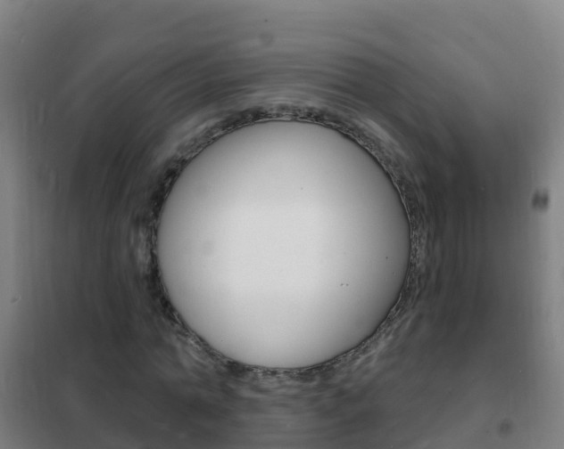 X0000102230774200807250808