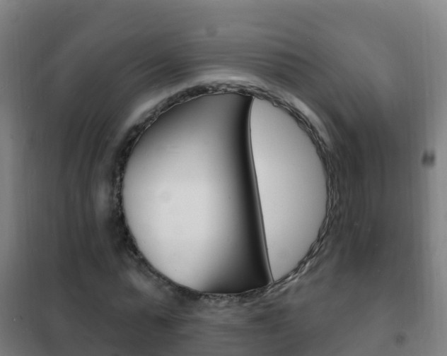 X0000102230775200807250808