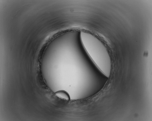 X0000102230776200807250808