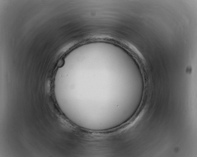 X0000102230777200807250808