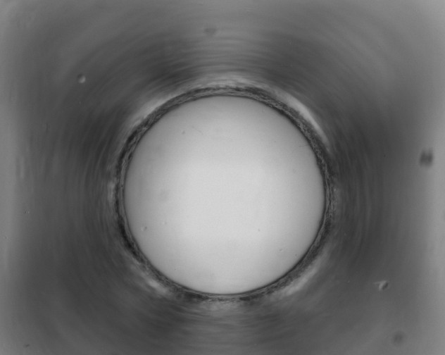 X0000102230778200807250808