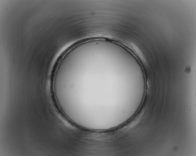 X0000102230780200807250808