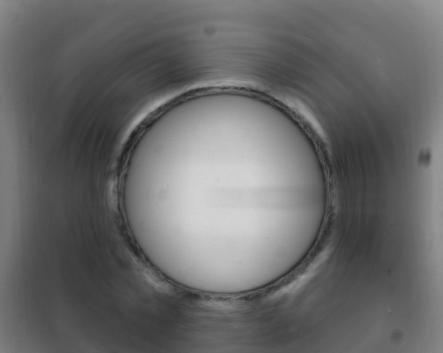 X0000102230781200807250808