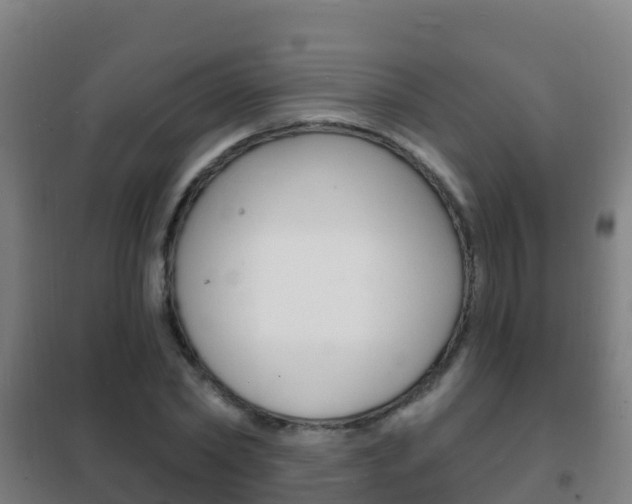X0000102230782200807250808