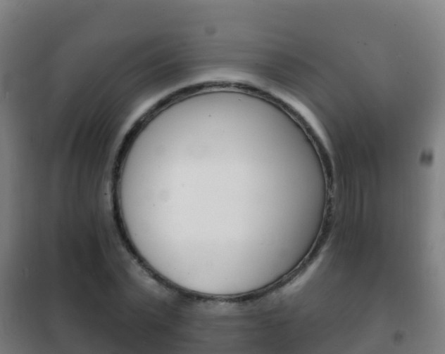 X0000102230783200807250808
