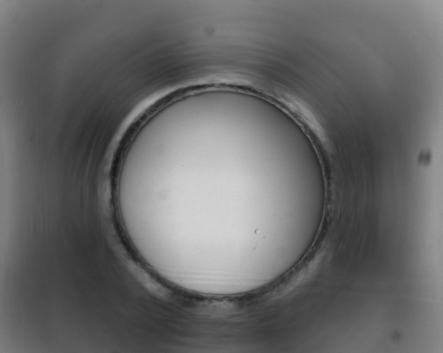 X0000102230784200807250808