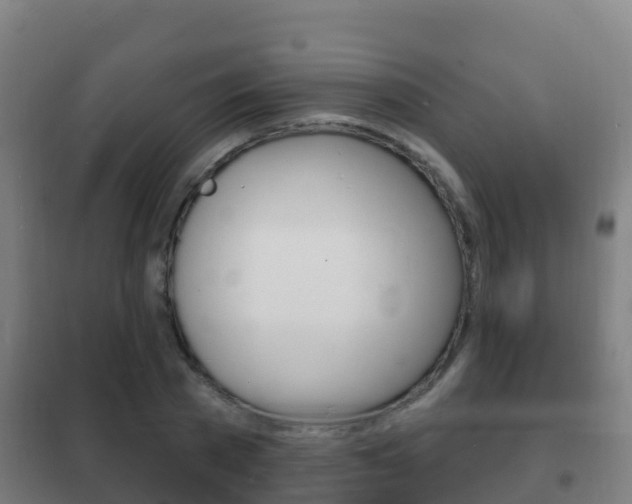 X0000102230785200807250808