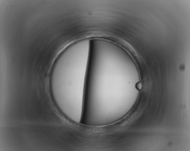 X0000102230786200807250808