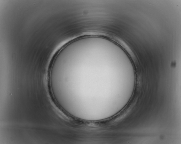 X0000102230787200807250808