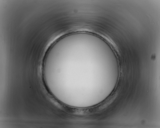 X0000102230790200807250808