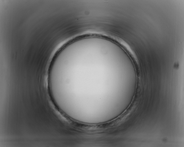 X0000102230791200807250807
