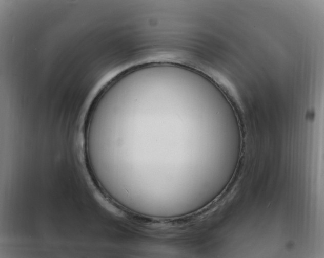 X0000102230792200807250807