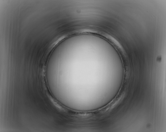 X0000102230793200807250807