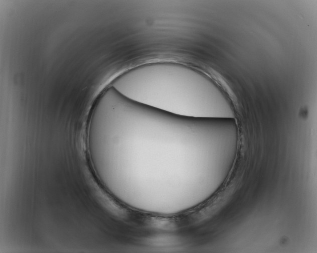 X0000102230794200807250807