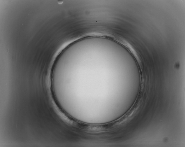 X0000102230795200807250807