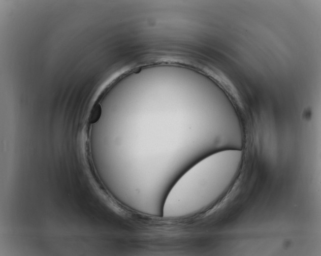 X0000102230798200807250807