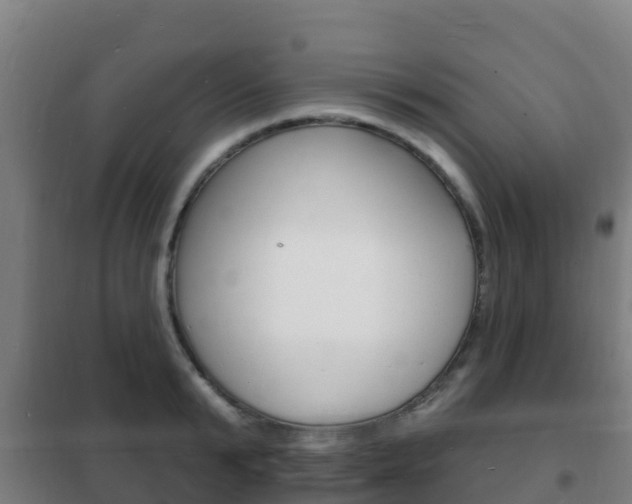 X0000102230799200807250807