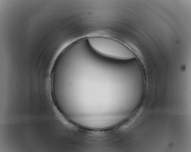 X0000102230800200807250807