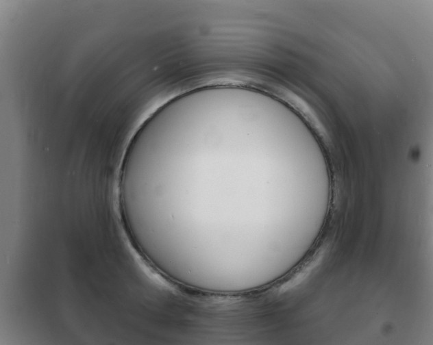 X0000102230802200807250807