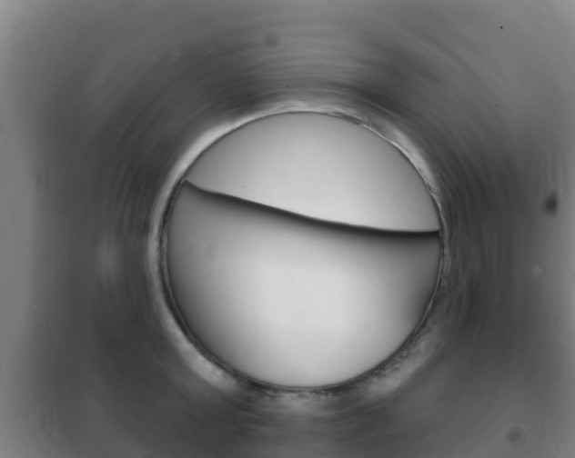 X0000102230803200807250807