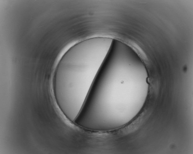 X0000102230804200807250807