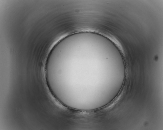 X0000102230806200807250807