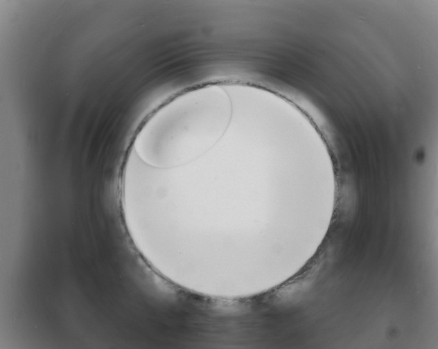 X0000102230807200807250807