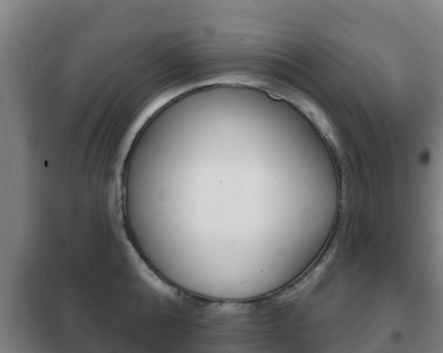 X0000102230808200807250807