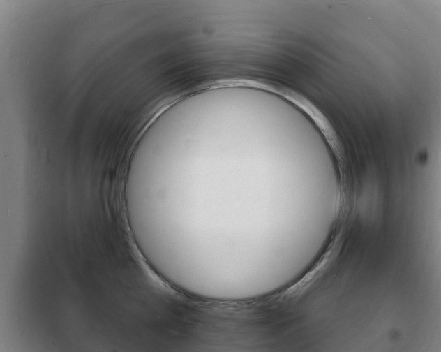 X0000102230809200807250807