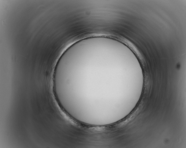 X0000102230810200807250807