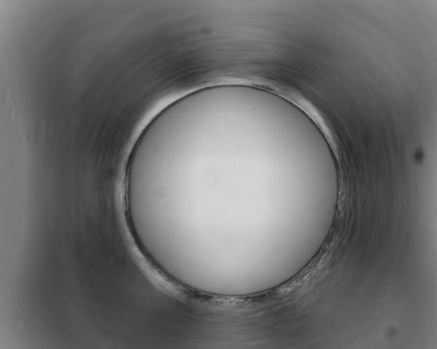X0000102230811200807250807