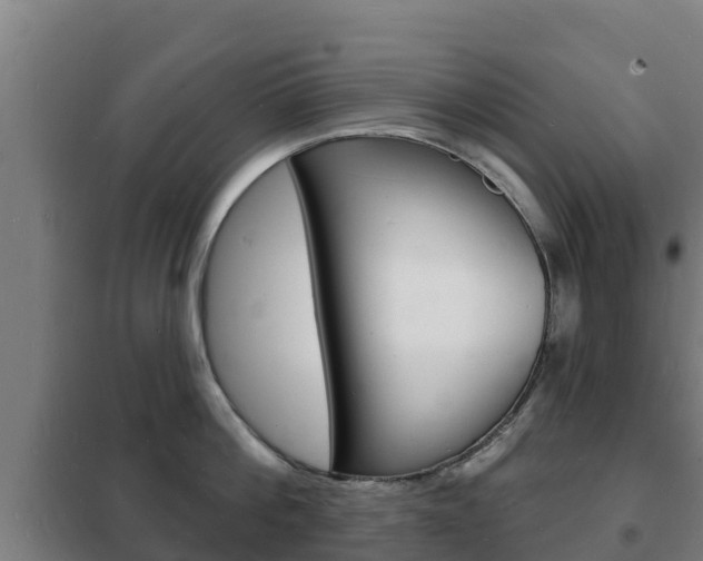 X0000102230812200807250807