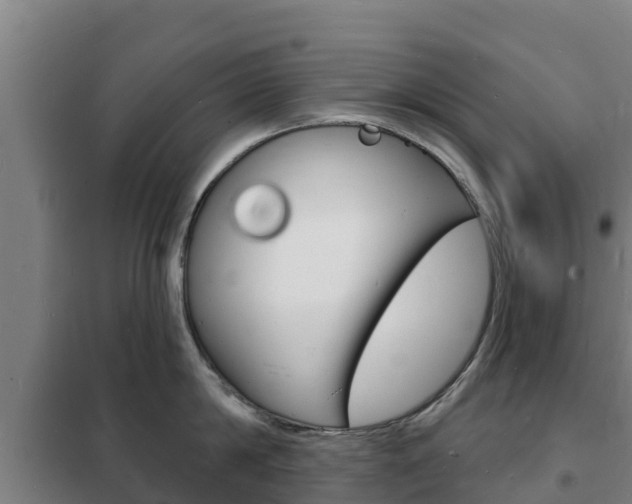 X0000102230814200807250807