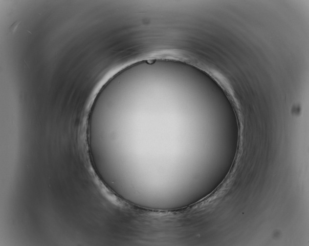 X0000102230816200807250807