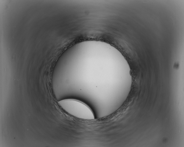 X0000102230817200807250806
