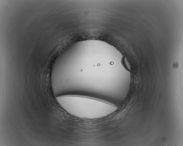 X0000102230818200807250806