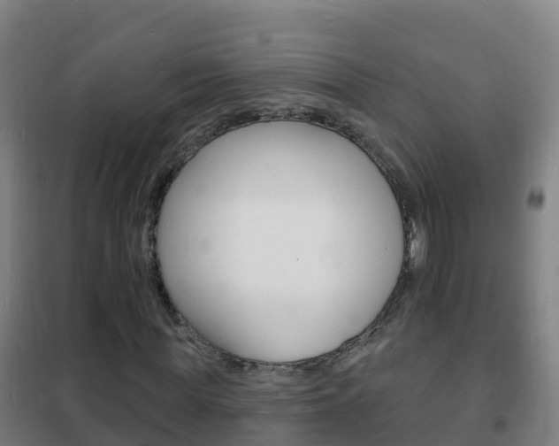 X0000102230819200807250806