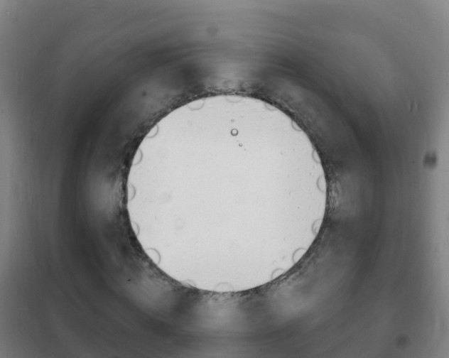 X0000102230820200807250806