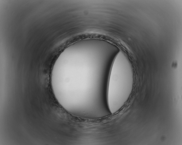 X0000102230821200807250806