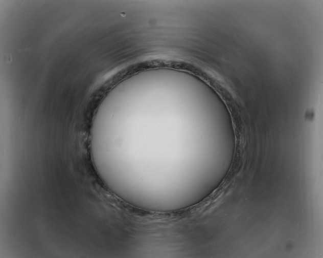 X0000102230822200807250806