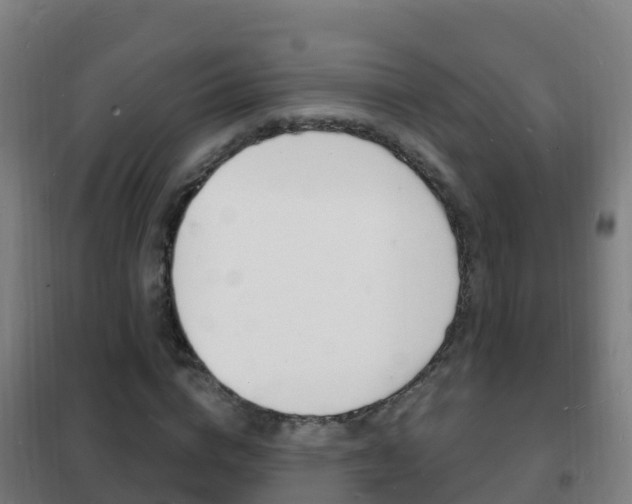 X0000102230824200807250806