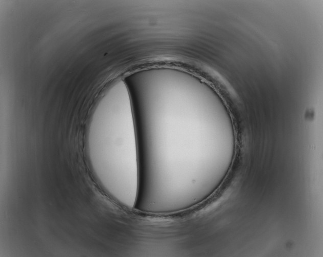 X0000102230825200807250806